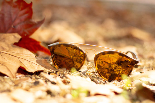 Which Lens Color is Best for Fall?